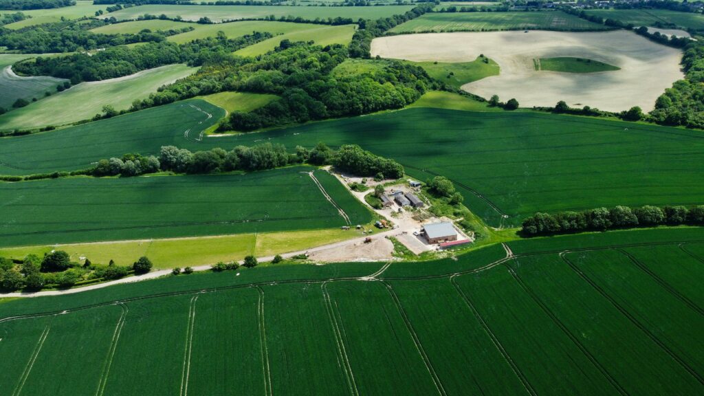 SviluppoQualità, servizi di qualità dedicati al settore agricolo